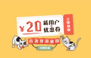 猫咪嫌地上湿，直接站在路人脚上 数字原住民文化的温暖寓言